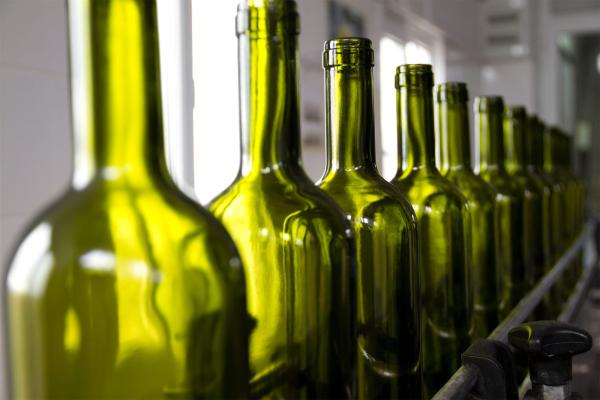 Sam's Club Isn't Just a Smaller Walmart — It's a Different Game Entirely